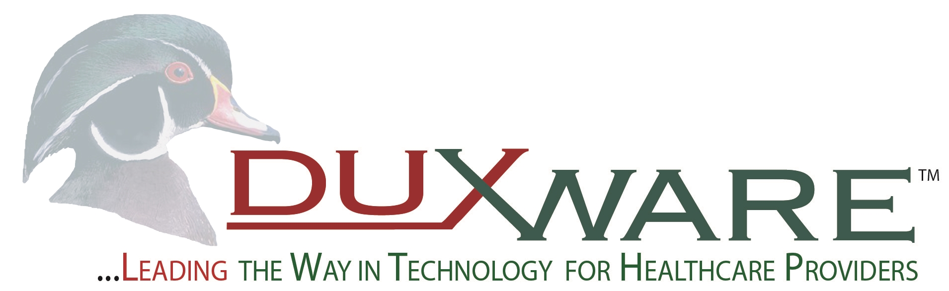 Medical Practice Software Inc. logo